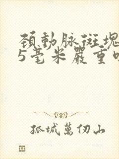 颈动脉斑块1.5毫米严重吗