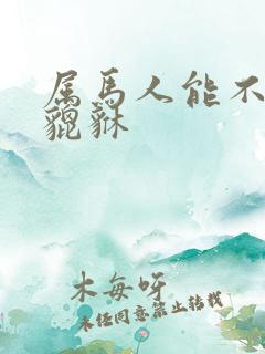 属马人能不能带貔貅