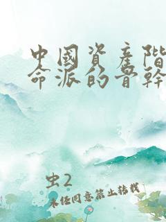 中国资产阶级革命派的骨干力量是