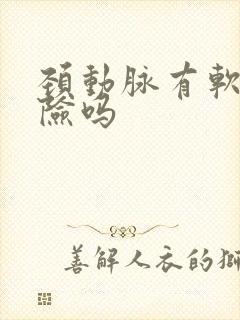 颈动脉有软斑危险吗