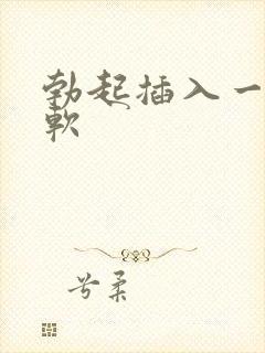 勃起插入一会就软