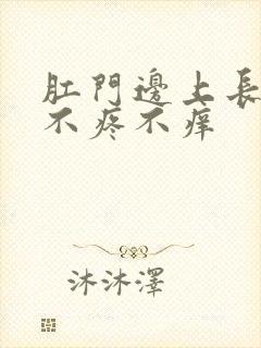 肛门边上长疙瘩不疼不痒