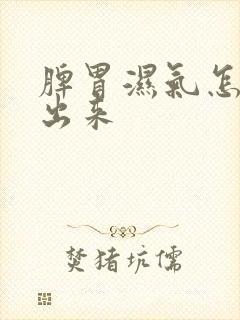 脾胃湿气怎么排出来