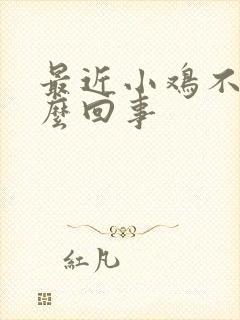 最近小鸡不硬怎么回事