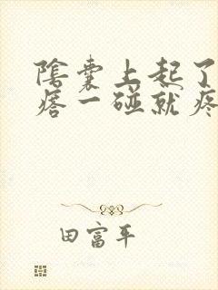 阴囊上起了个疙瘩一碰就疼