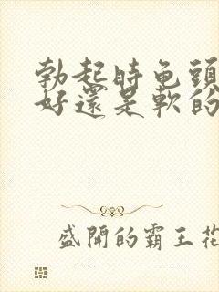 勃起时龟头是硬好还是软的好