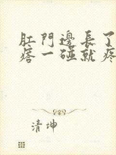 肛门边长了个疙瘩一碰就疼用什么药