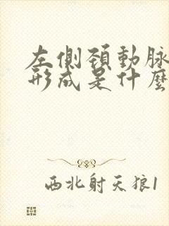 左侧颈动脉斑块形成是什么意思严重吗