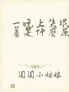 一晚上失眠睡不着是什么原因引起的