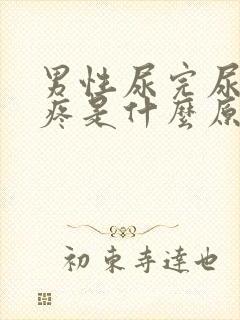 男性尿完尿之后疼是什么原因