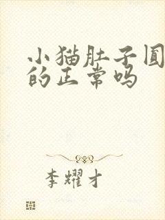 小猫肚子圆鼓鼓的正常吗