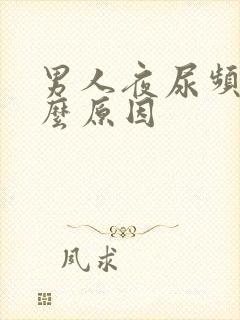 男人夜尿频多什么原因