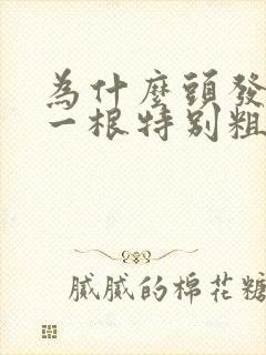 为什么头发会有一根特别粗特别硬的