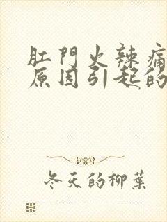 肛门火辣痛什么原因引起的