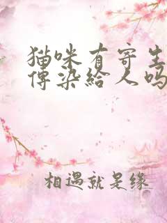 猫咪有寄生虫会传染给人吗