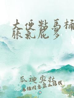 大便粘马桶肚子胀气屁多