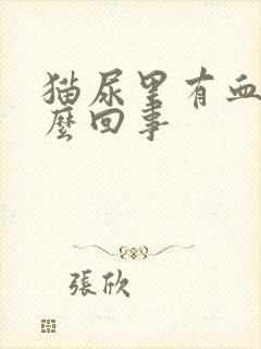 猫尿里有血是怎么回事