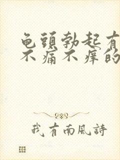 龟头勃起有红点不痛不痒的