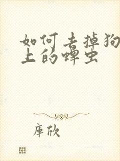 如何去掉狗狗身上的蜱虫