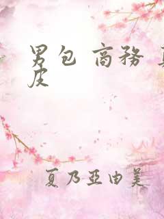 男包 商务 真皮