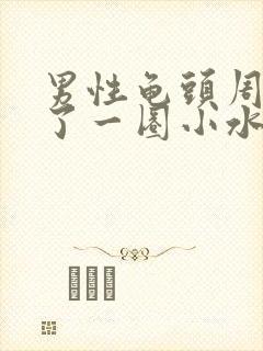 男性龟头周围长了一圈小水泡