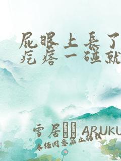 屁眼上长了个硬疙瘩一碰就疼