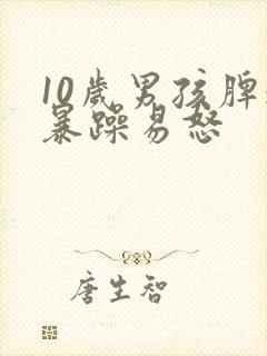 10岁男孩脾气暴躁易怒