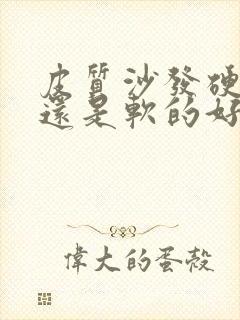 皮质沙发硬的好还是软的好