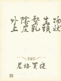 外阴赘生物鳞状上皮乳头状瘤