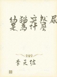 幼猫突然尿床上是为什么