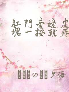 肛门旁边皮下硬块一按就疼