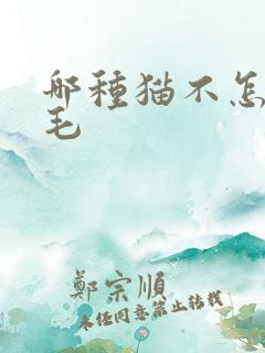 哪种猫不怎么掉毛