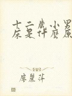 十二岁小男孩尿床是什么原因