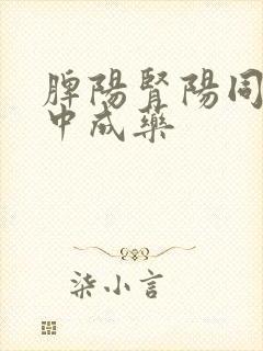 脾阳肾阳同补的中成药