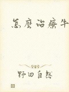 怎么治疗牛皮选