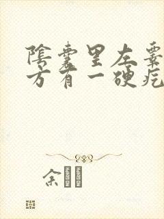 阴囊里左睾丸下方有一硬疙瘩