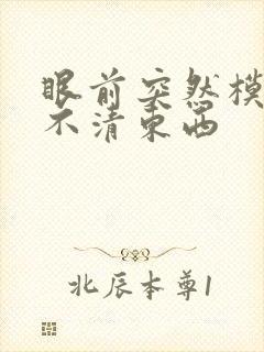 眼前突然模糊看不清东西