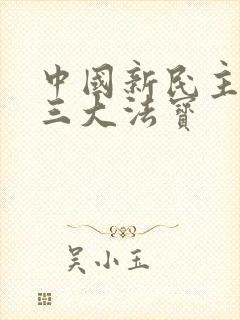 中国新民主主义三大法宝