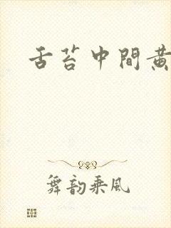 舌苔中间黄厚腻