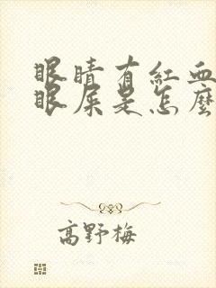 眼睛有红血丝有眼屎是怎么回事