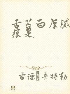 舌苔白厚腻有齿痕是