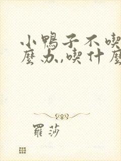 小鸭子不吃食怎么办,吃什么药