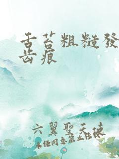 舌苔粗糙发白有齿痕