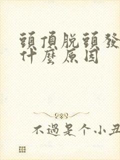 头顶脱头发了是什么原因