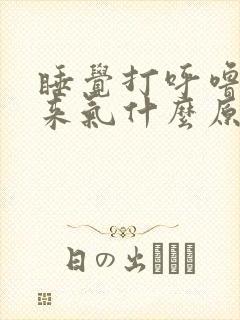 睡觉打呼噜上不来气什么原因