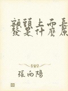 额头上面长白头发是什么原因