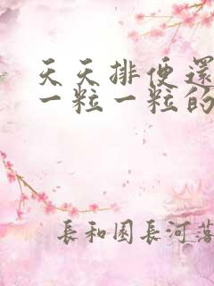 天天排便还便秘一粒一粒的怎么回事