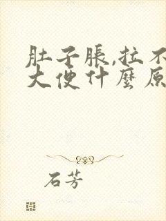 肚子胀,拉不出大便什么原因