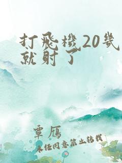 打飞机20几秒就射了