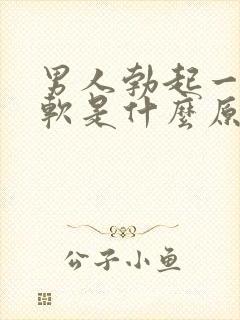 男人勃起一会就软是什么原因